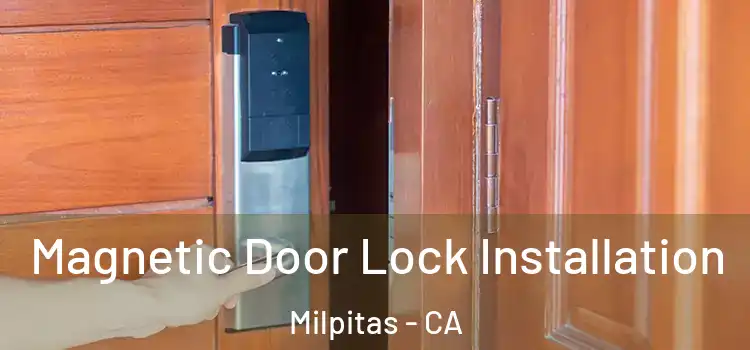 Magnetic Door Lock Installation Milpitas - CA